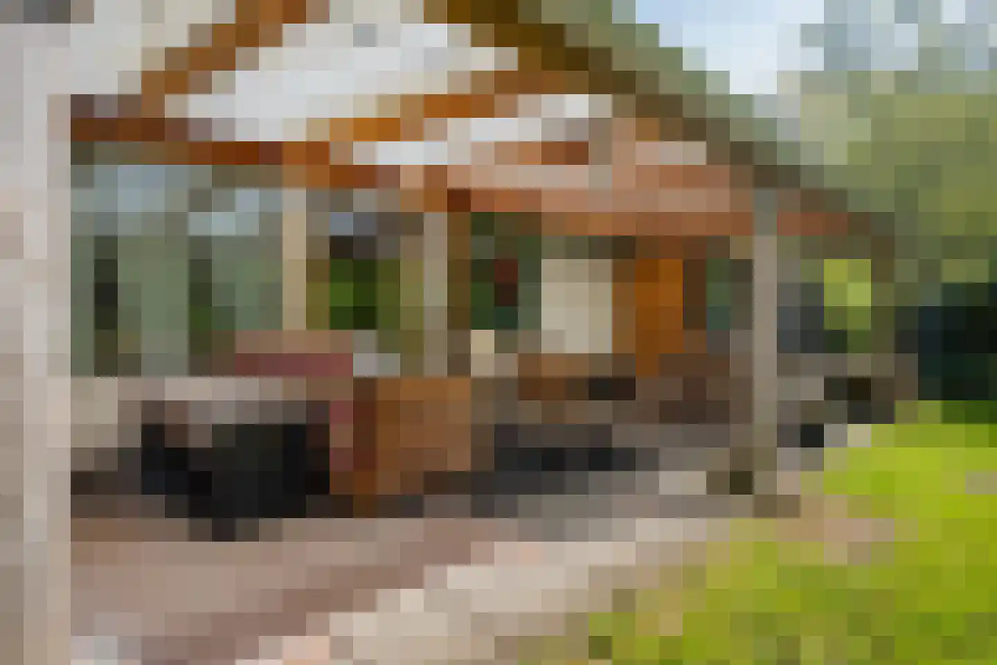 Valtherweg 36 085 Exloo thumbnail 18