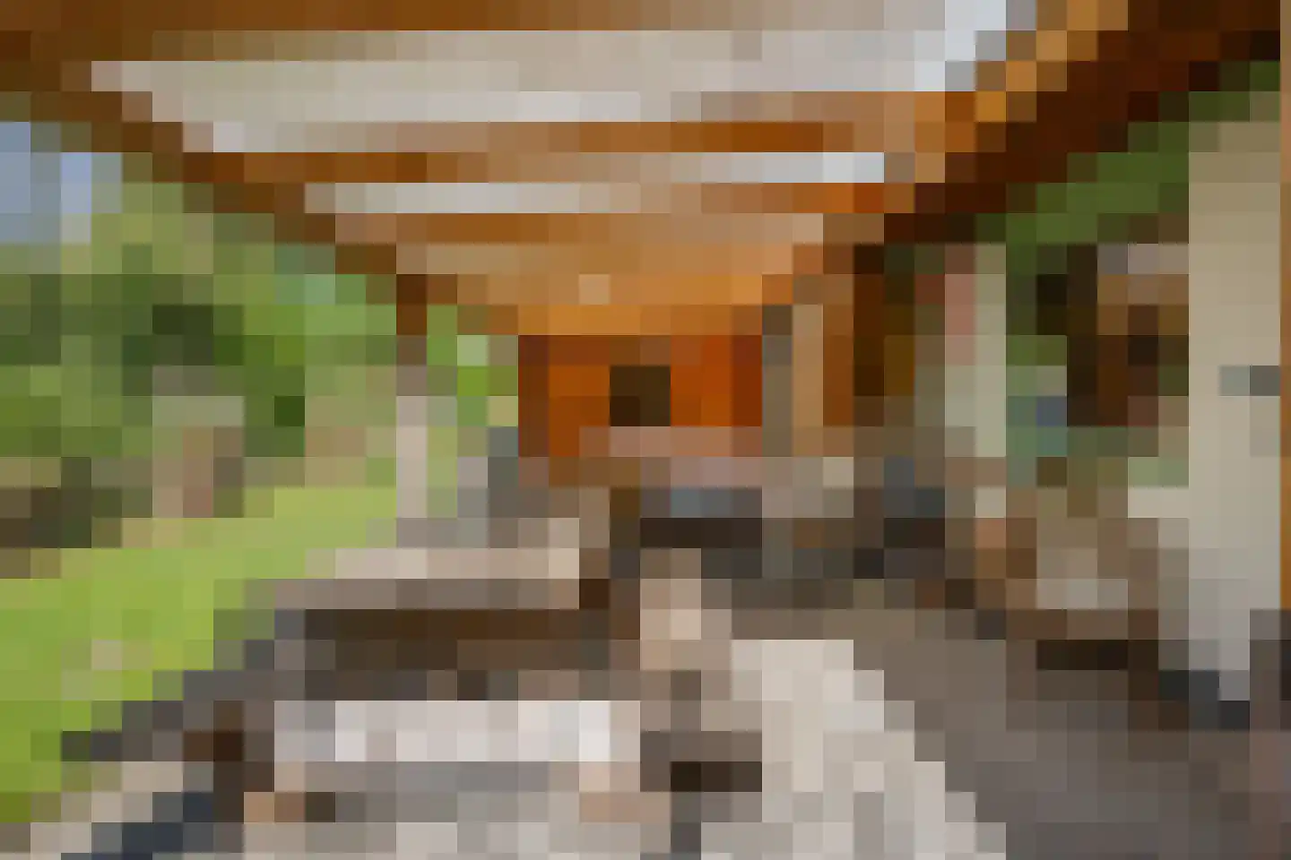 Valtherweg 36 085 Exloo thumbnail 20