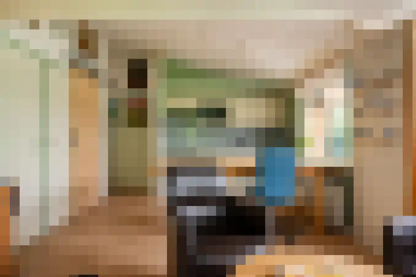 Valtherweg 36 085 Exloo thumbnail 23