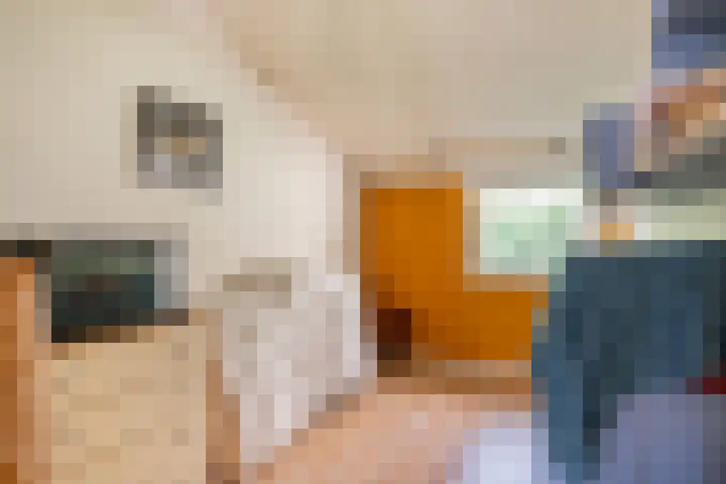 Valtherweg 36 085 Exloo thumbnail 29