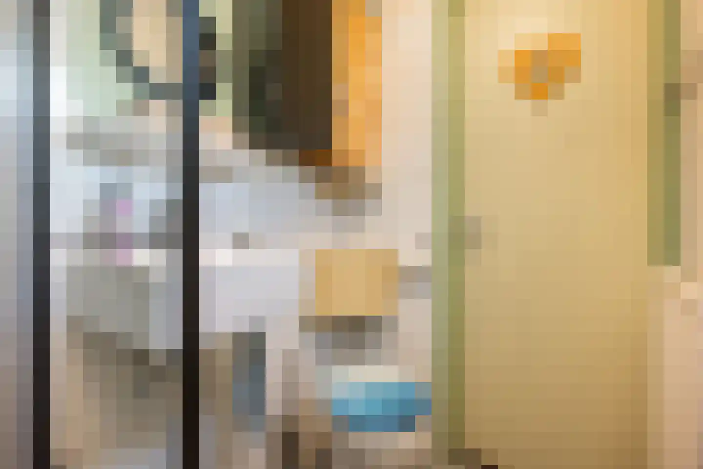 Valtherweg 36 085 Exloo thumbnail 35