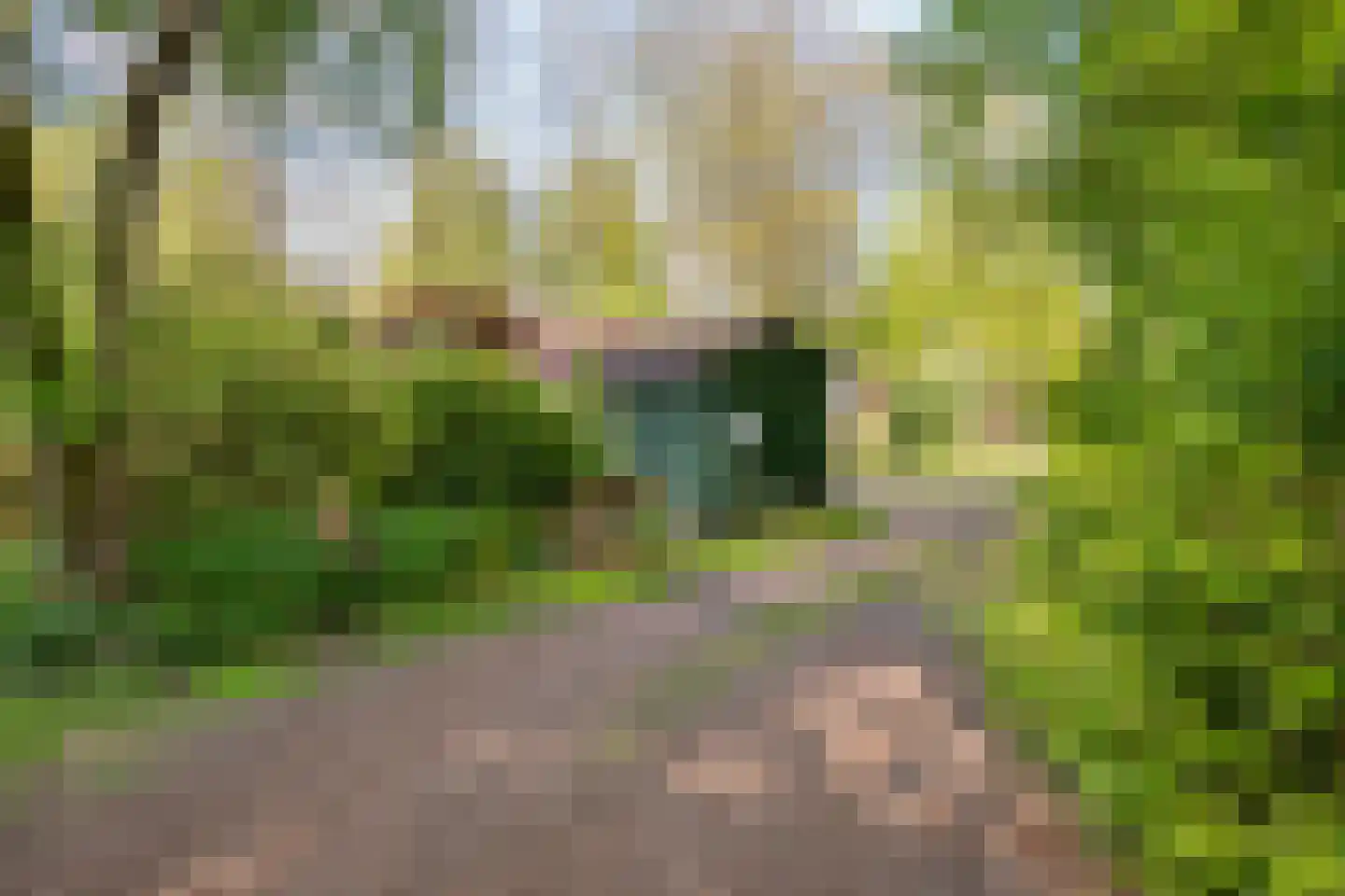 Valtherweg 36 085 Exloo thumbnail 4
