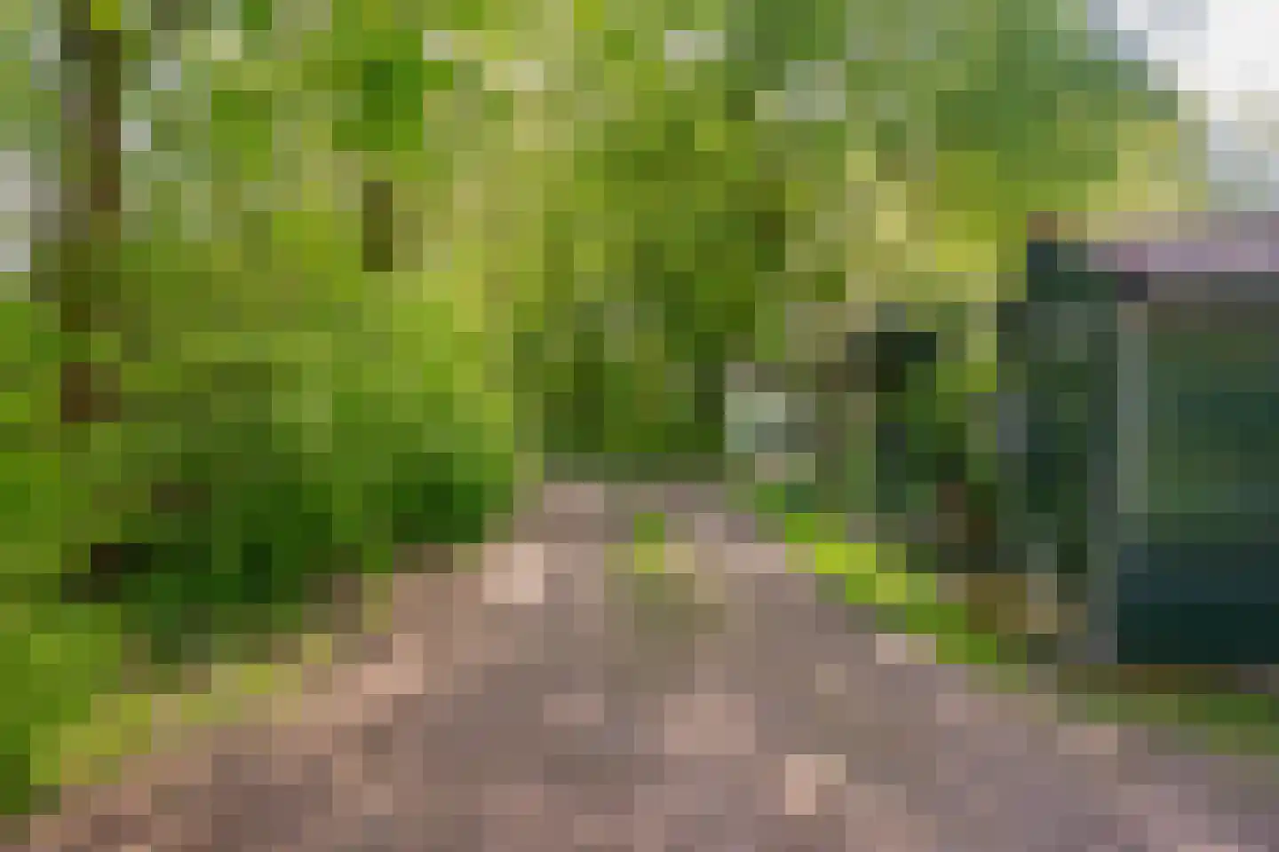 Valtherweg 36 085 Exloo thumbnail 5