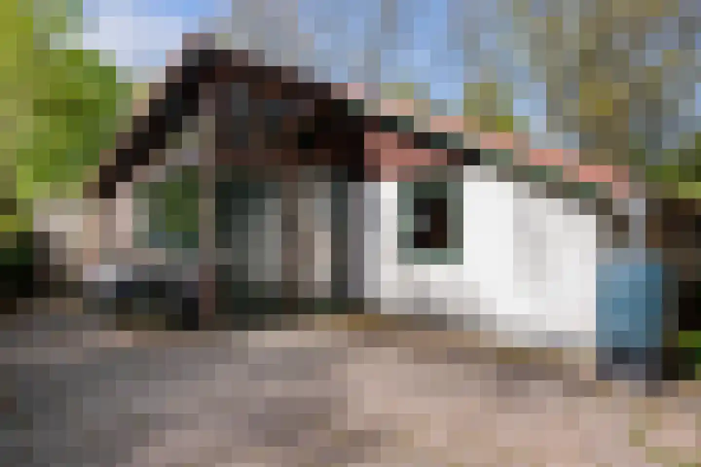 Valtherweg 36 085 Exloo thumbnail 9