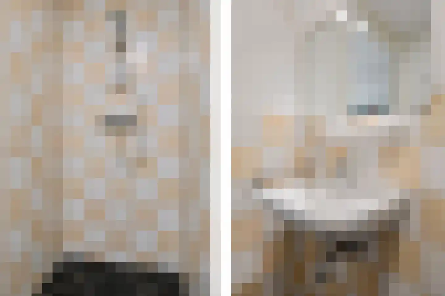 Valtherweg 36 208 Exloo thumbnail 20