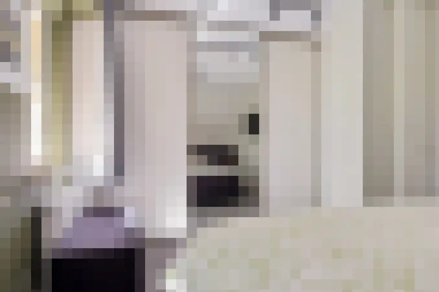 Valtherweg 36 208 Exloo thumbnail 37