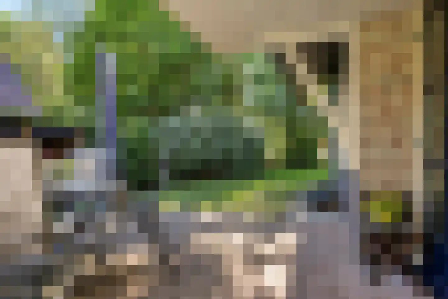 Valtherweg 36 208 Exloo thumbnail 38