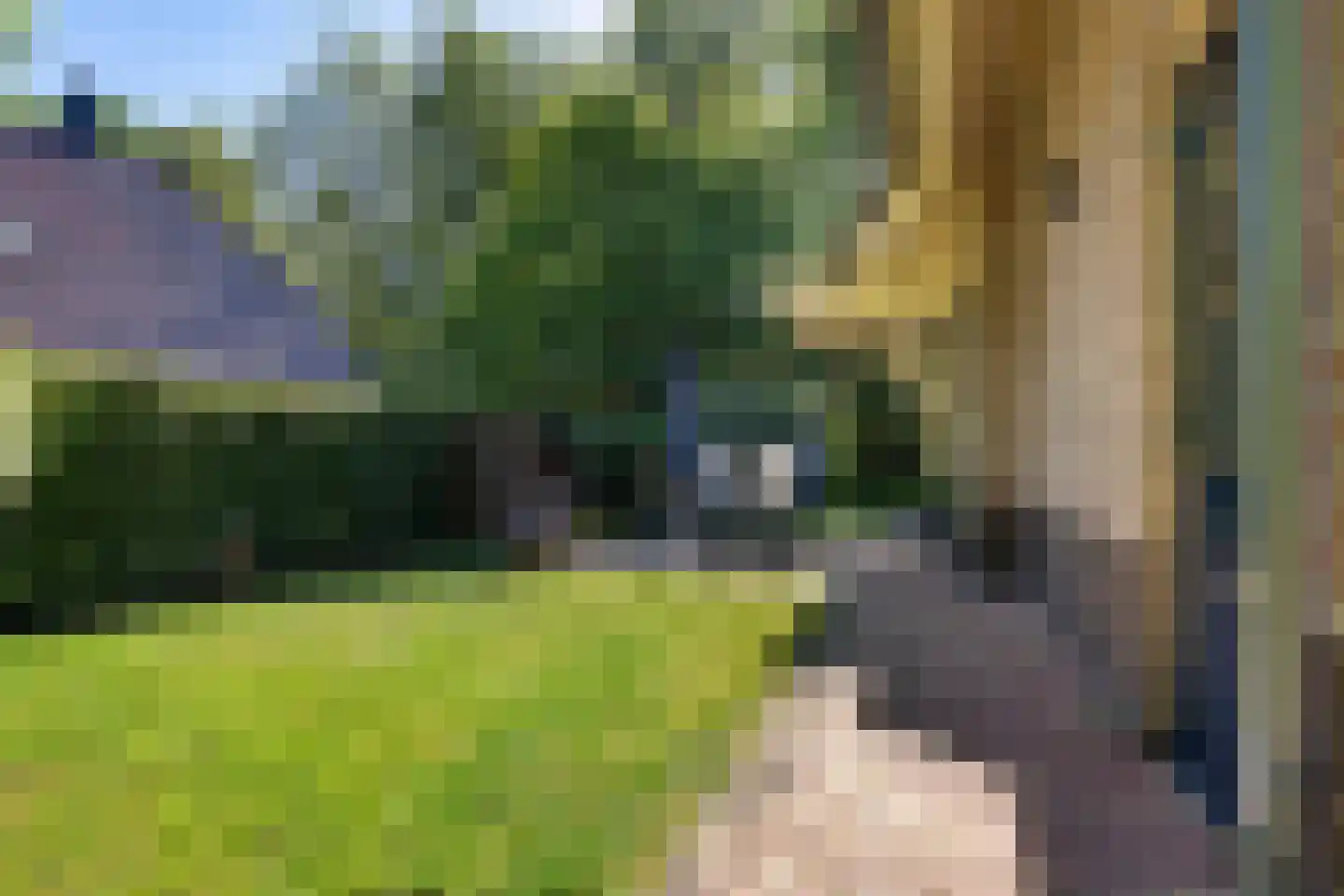 Valtherweg 36 208 Exloo thumbnail 39