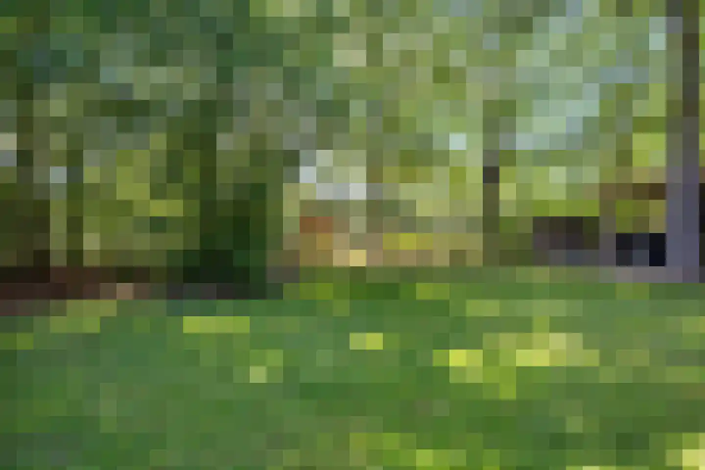 Valtherweg 36 208 Exloo thumbnail 42
