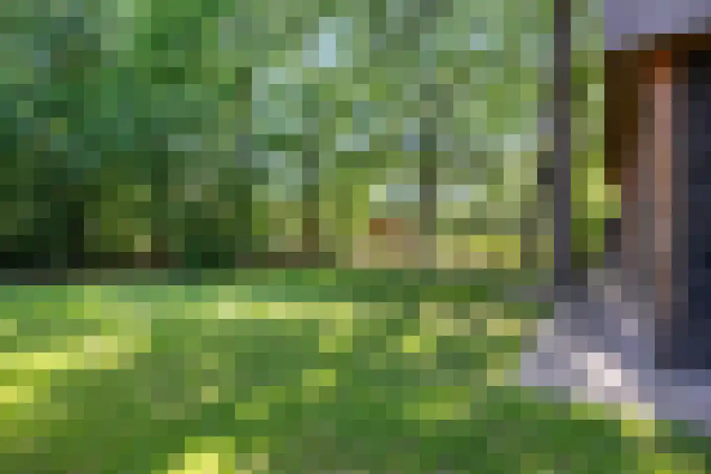 Valtherweg 36 208 Exloo thumbnail 43