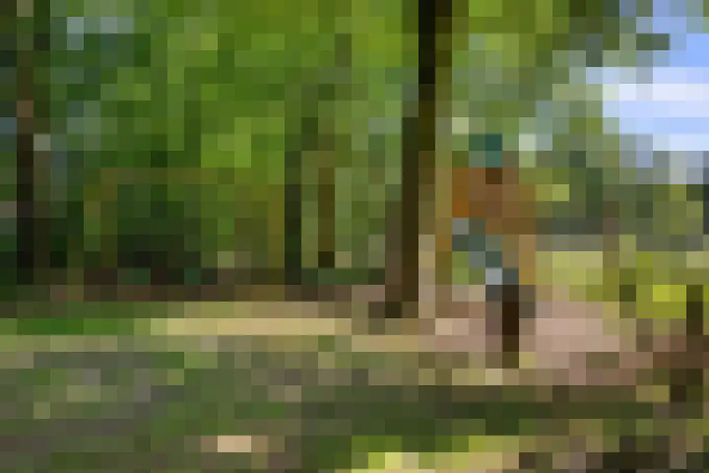Valtherweg 36 208 Exloo thumbnail 44