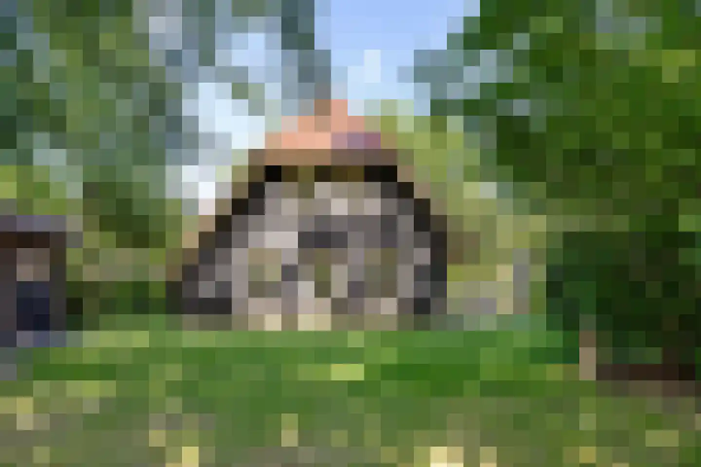 Valtherweg 36 208 Exloo thumbnail 47