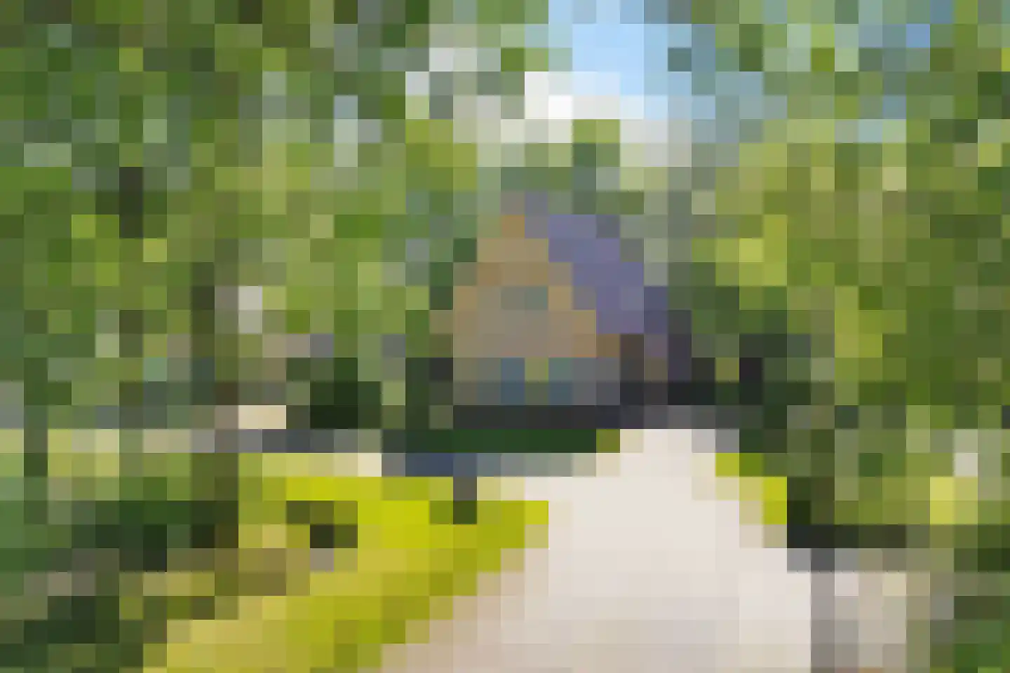 Valtherweg 36 208 Exloo thumbnail 50