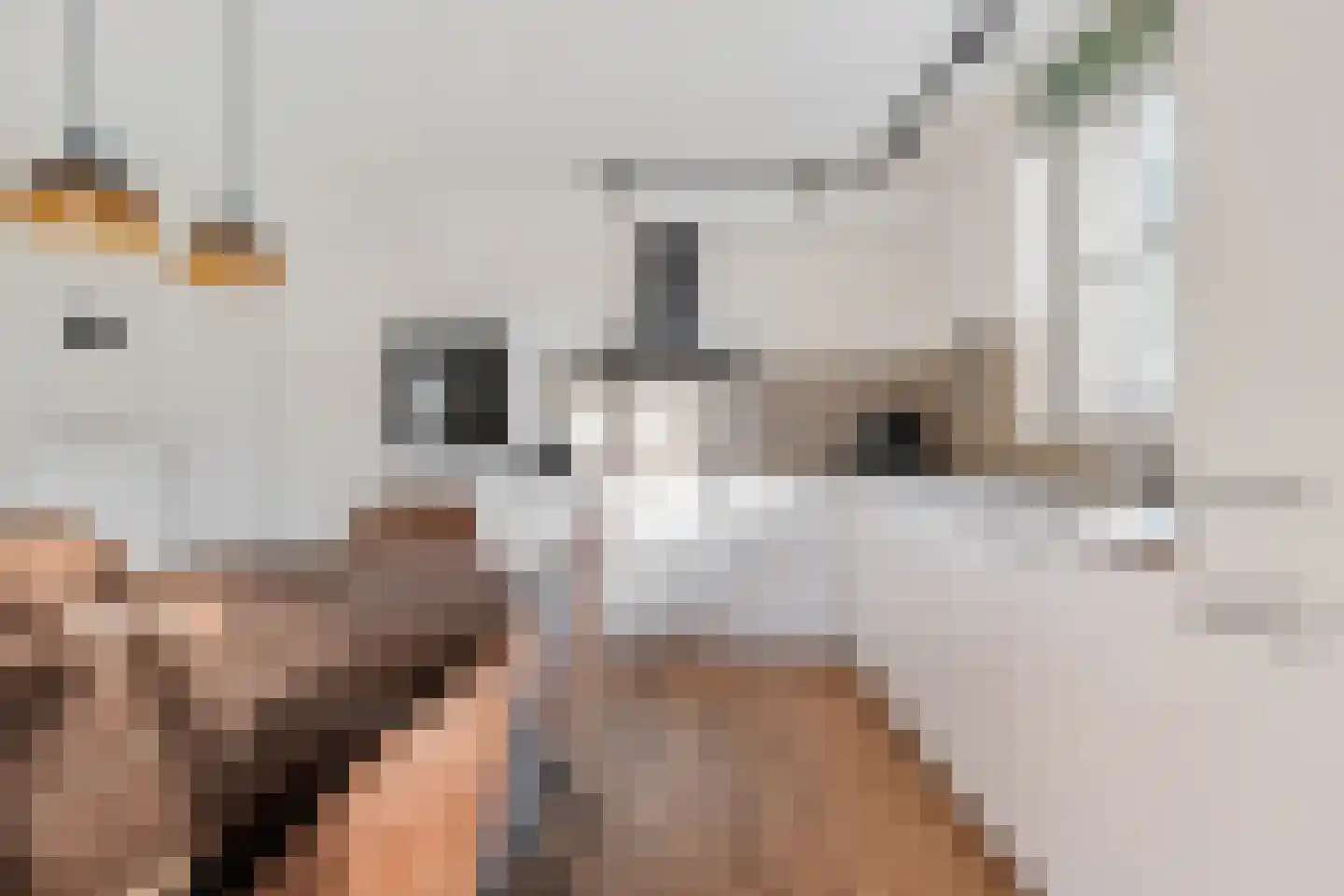Valtherweg 36 226 Exloo thumbnail 16