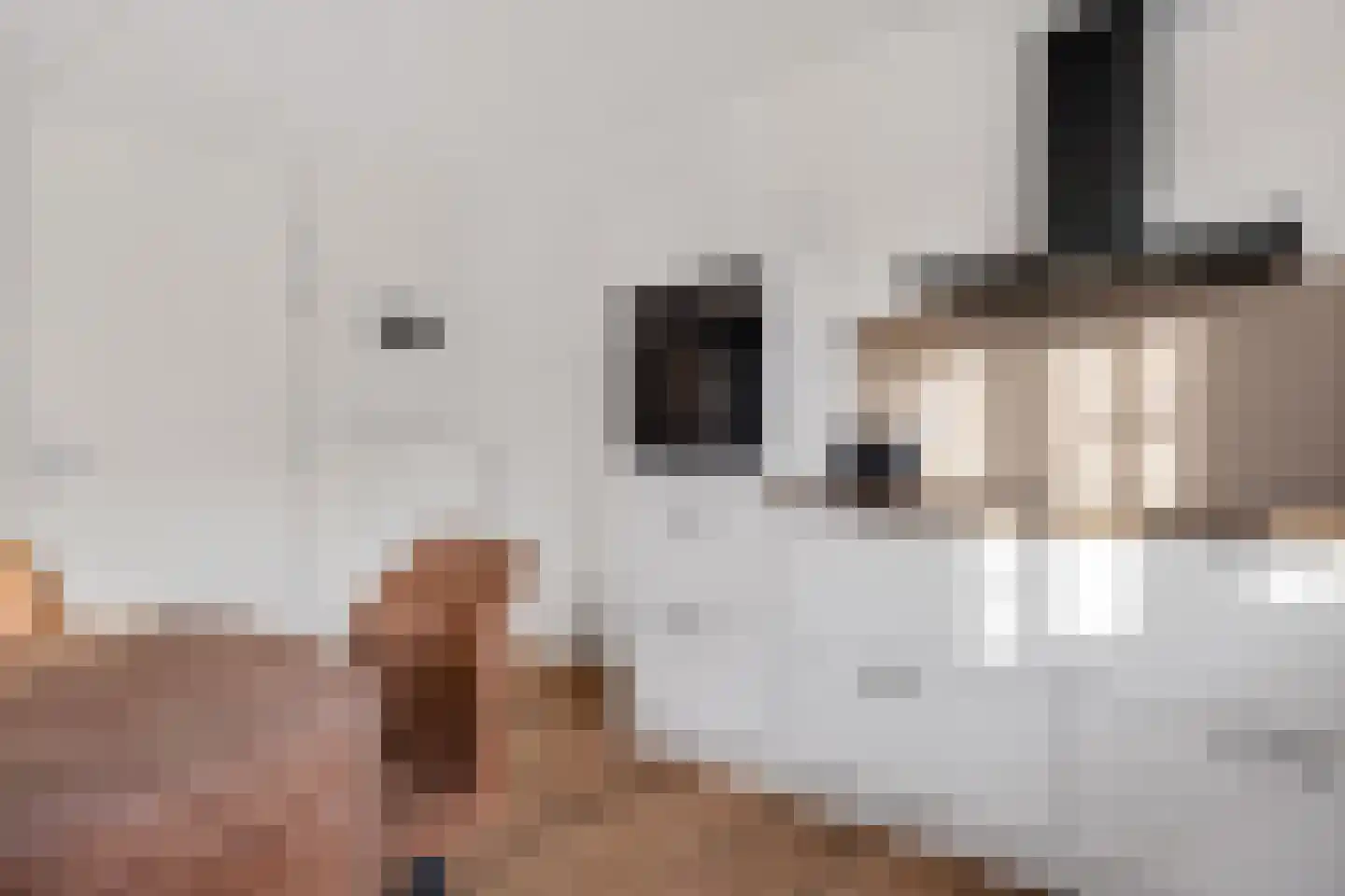 Valtherweg 36 226 Exloo thumbnail 18