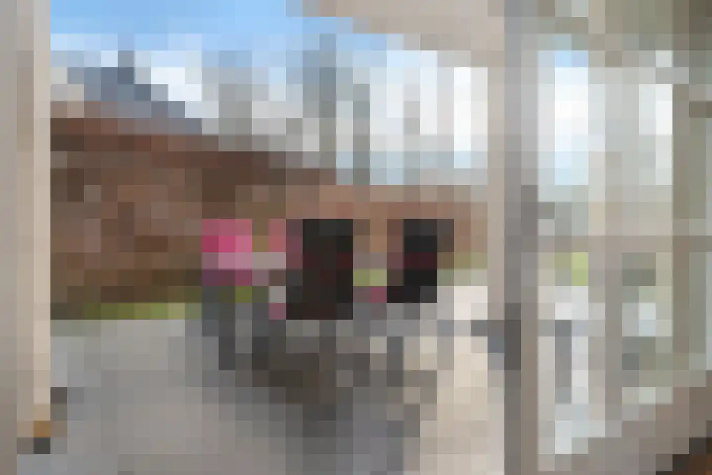 Valtherweg 36 226 Exloo thumbnail 22
