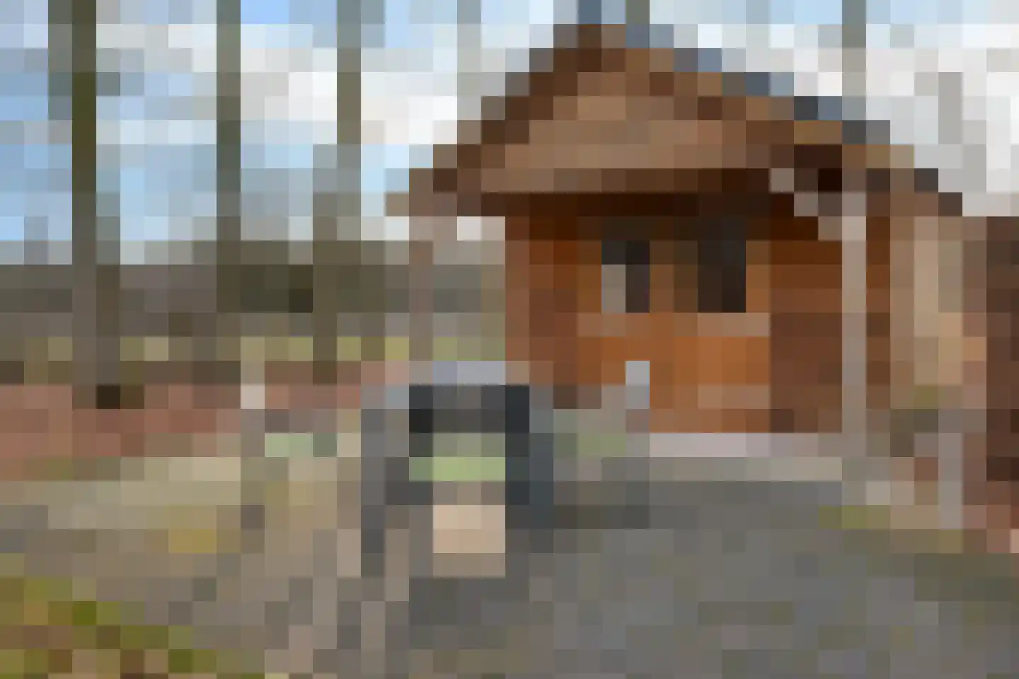 Valtherweg 36 226 Exloo thumbnail 39