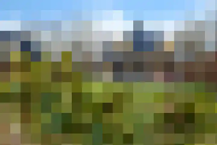 Valtherweg 36 226 Exloo thumbnail 42