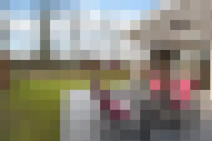 Valtherweg 36 226 Exloo thumbnail 44
