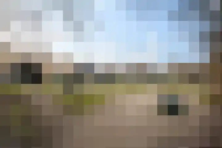 Valtherweg 36 226 Exloo thumbnail 50
