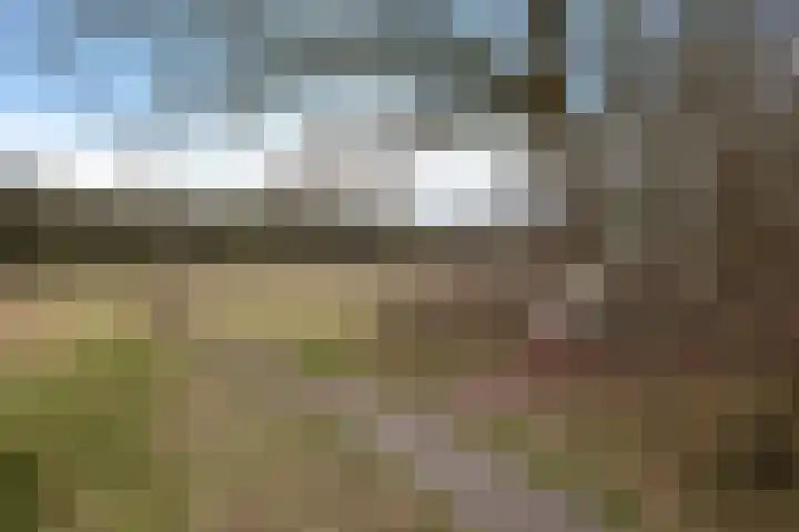 Valtherweg 36 226 Exloo thumbnail 56