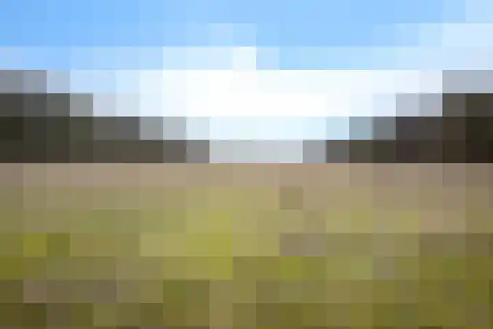 Valtherweg 36 226 Exloo thumbnail 57
