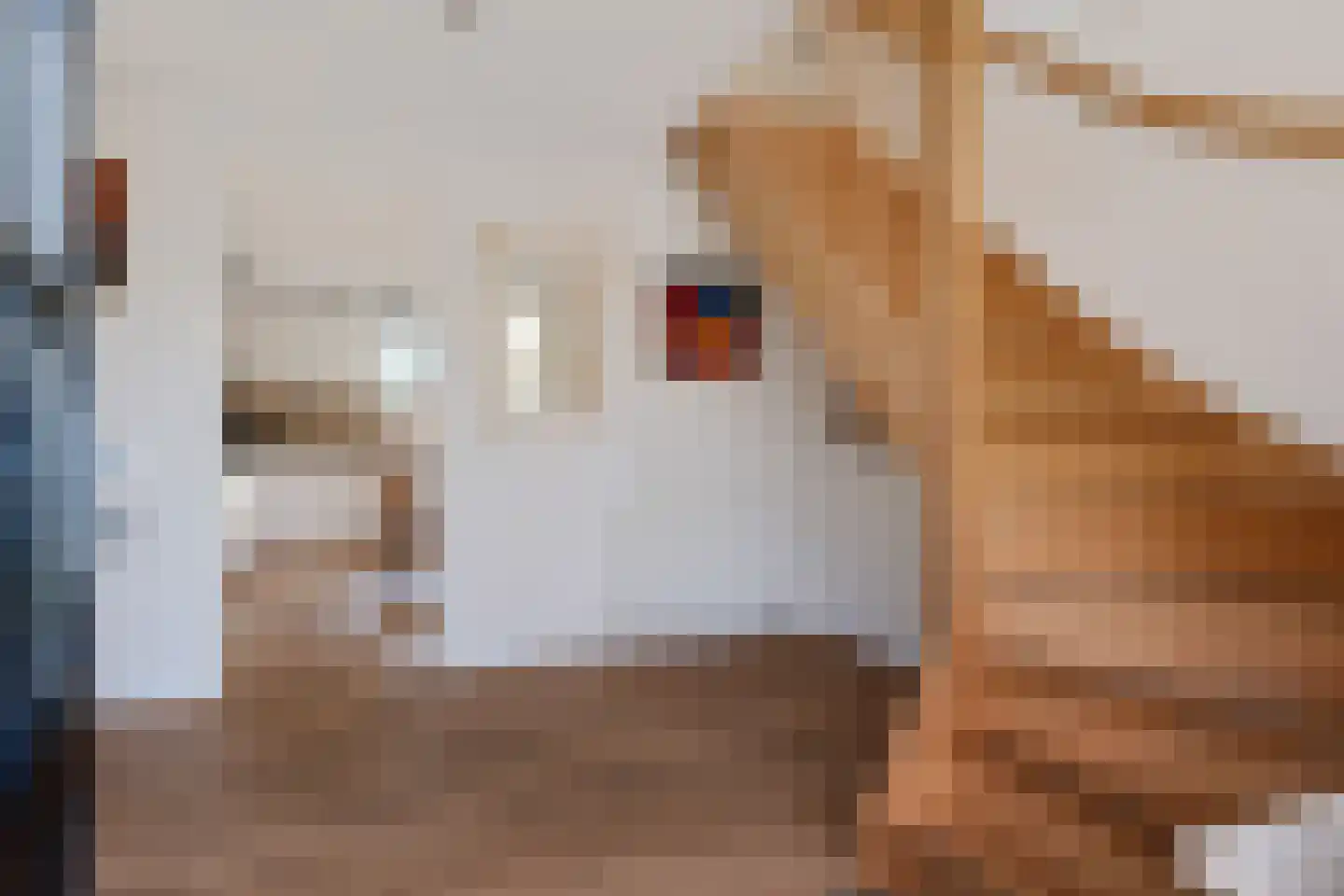 Valtherweg 36 226 Exloo thumbnail 7