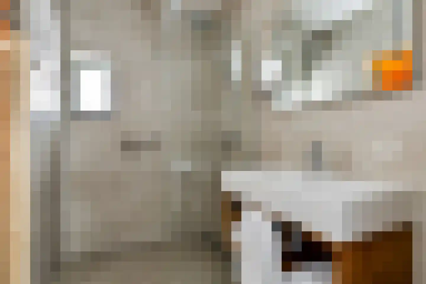 Valtherweg 36 232 Exloo thumbnail 14