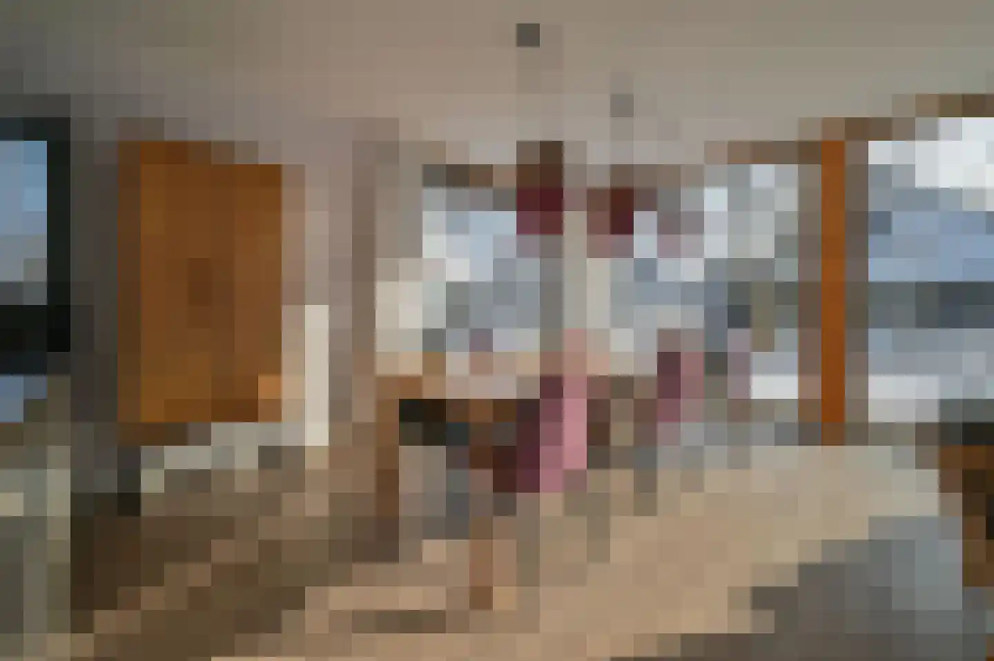 Valtherweg 36 236 Exloo thumbnail 11
