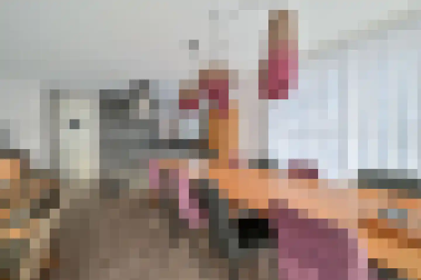 Valtherweg 36 236 Exloo thumbnail 12