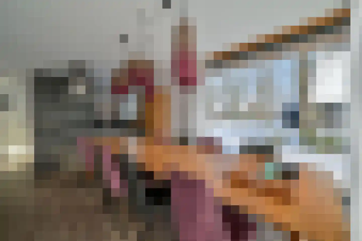 Valtherweg 36 236 Exloo thumbnail 13