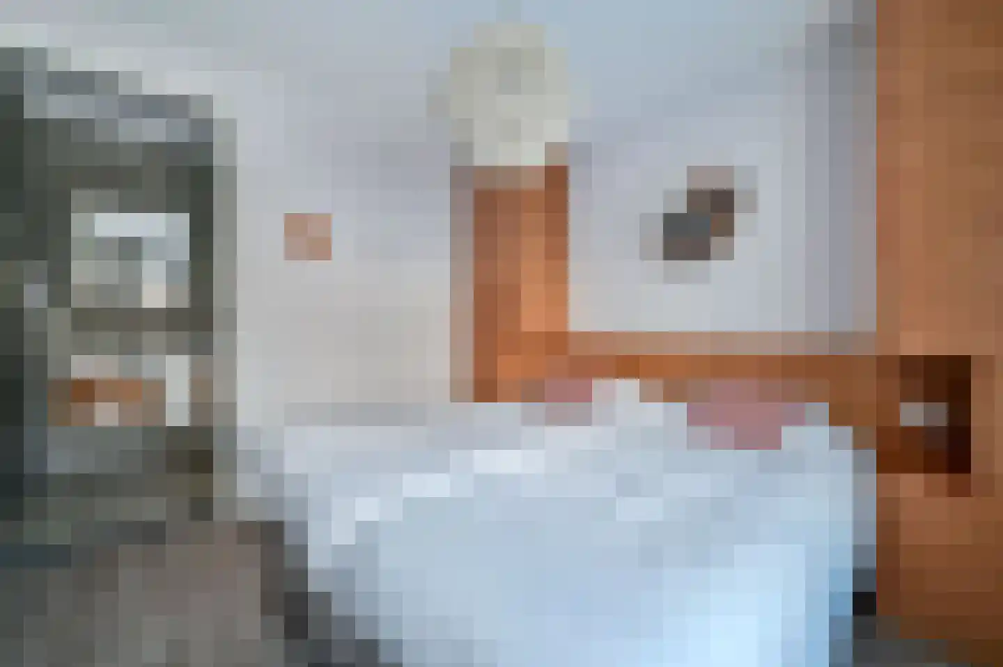 Valtherweg 36 236 Exloo thumbnail 24