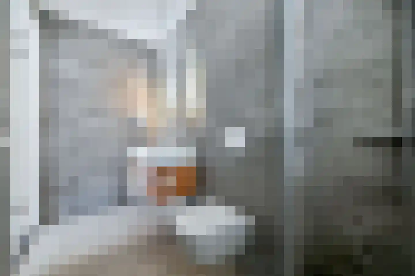 Valtherweg 36 236 Exloo thumbnail 25