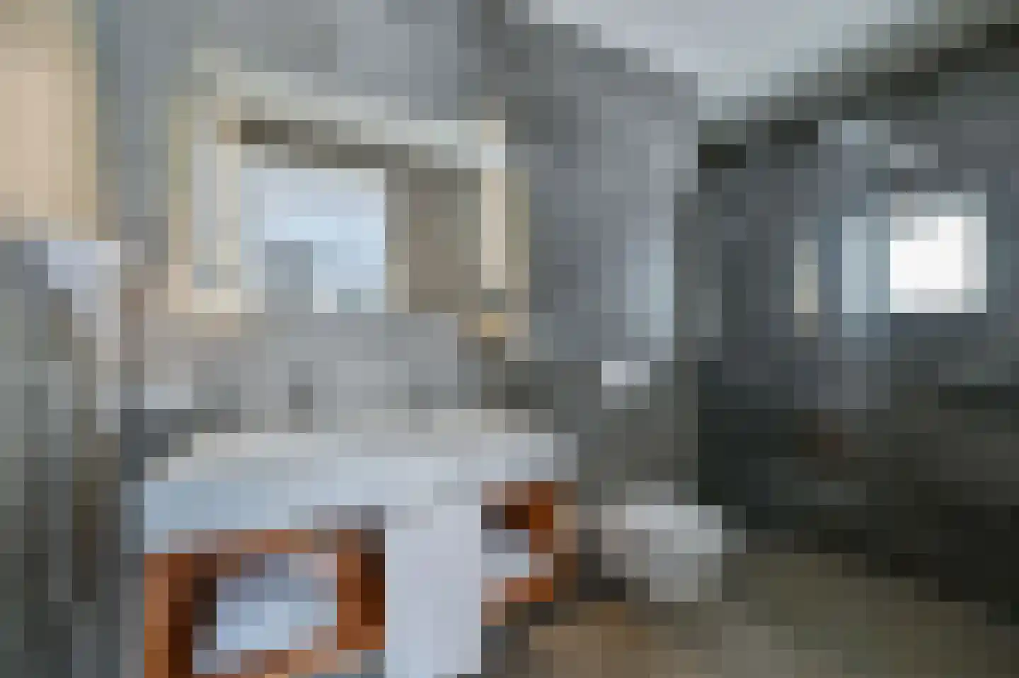 Valtherweg 36 236 Exloo thumbnail 26