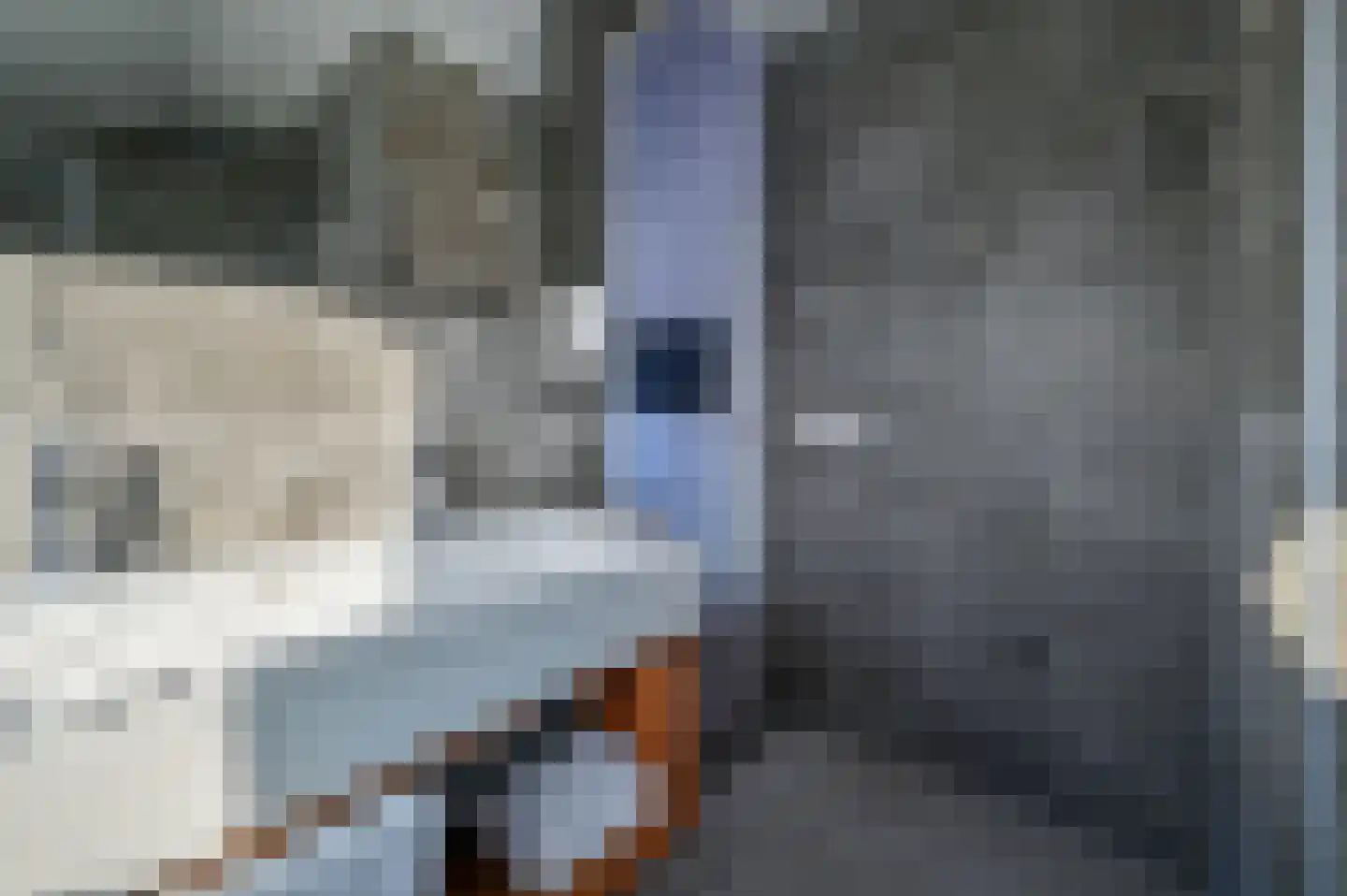 Valtherweg 36 236 Exloo thumbnail 32