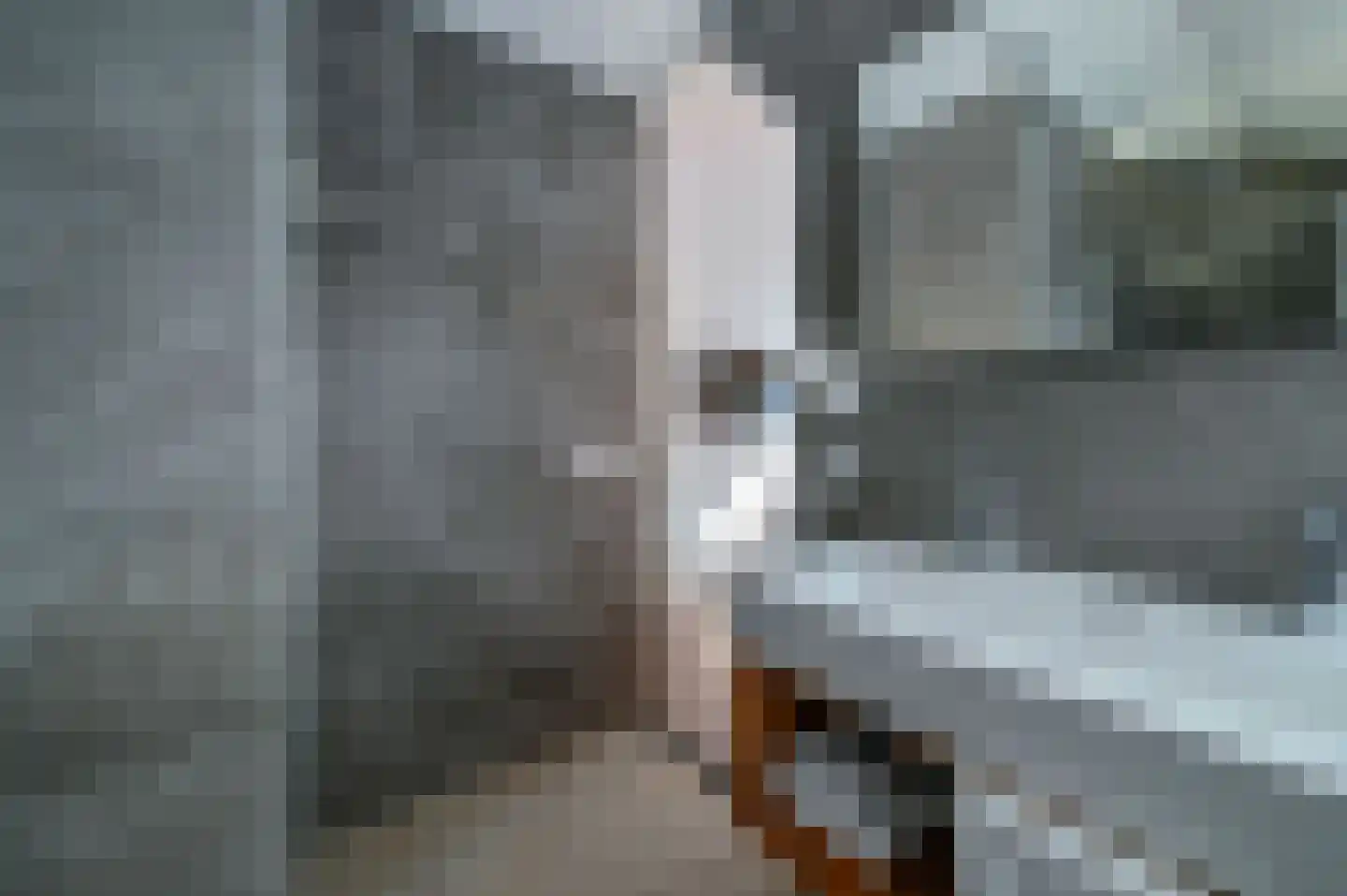 Valtherweg 36 236 Exloo thumbnail 38