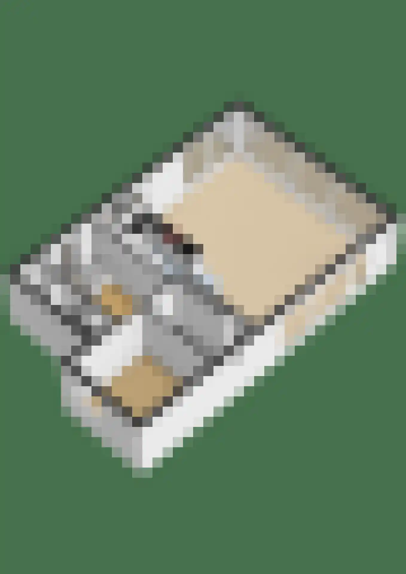 Valtherweg 36 236 Exloo thumbnail 47