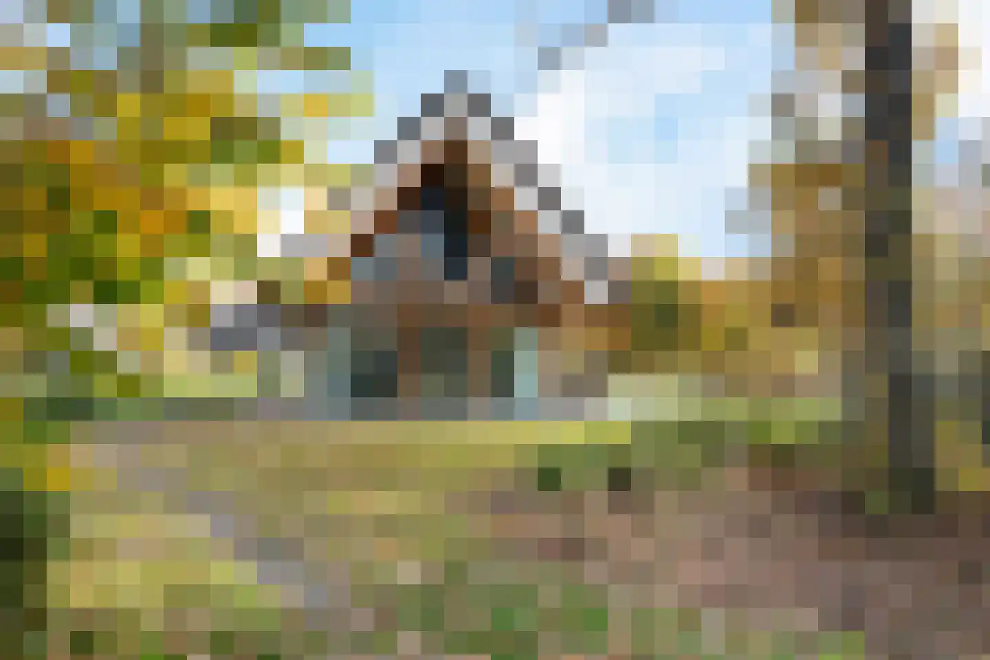 Valtherweg 36 259 Exloo thumbnail 4