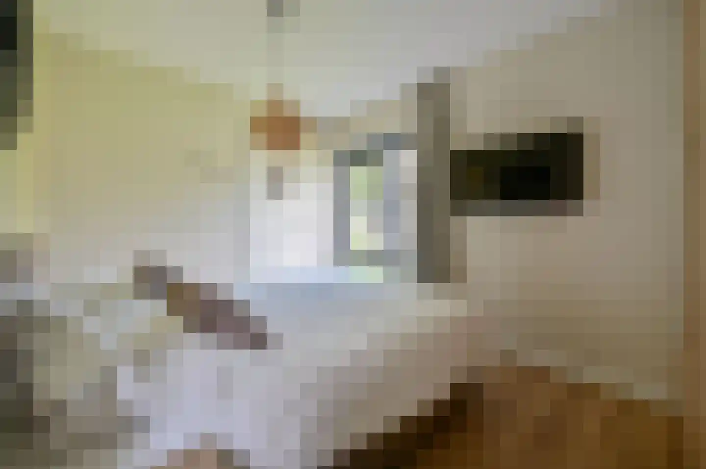 Valtherweg 36 287 Exloo thumbnail 10