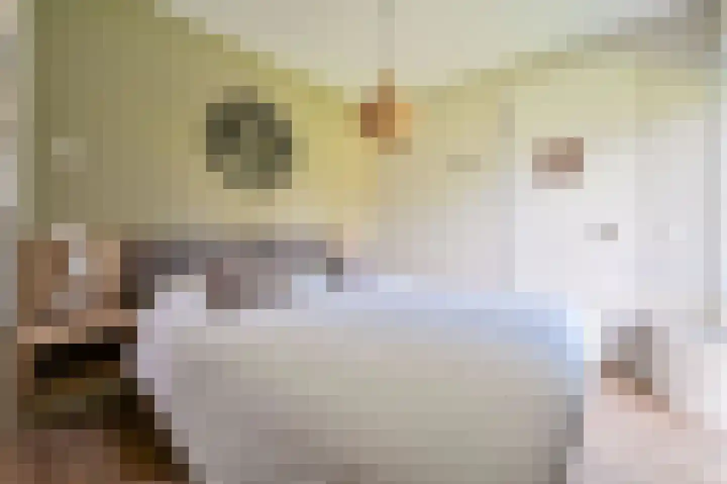 Valtherweg 36 287 Exloo thumbnail 11