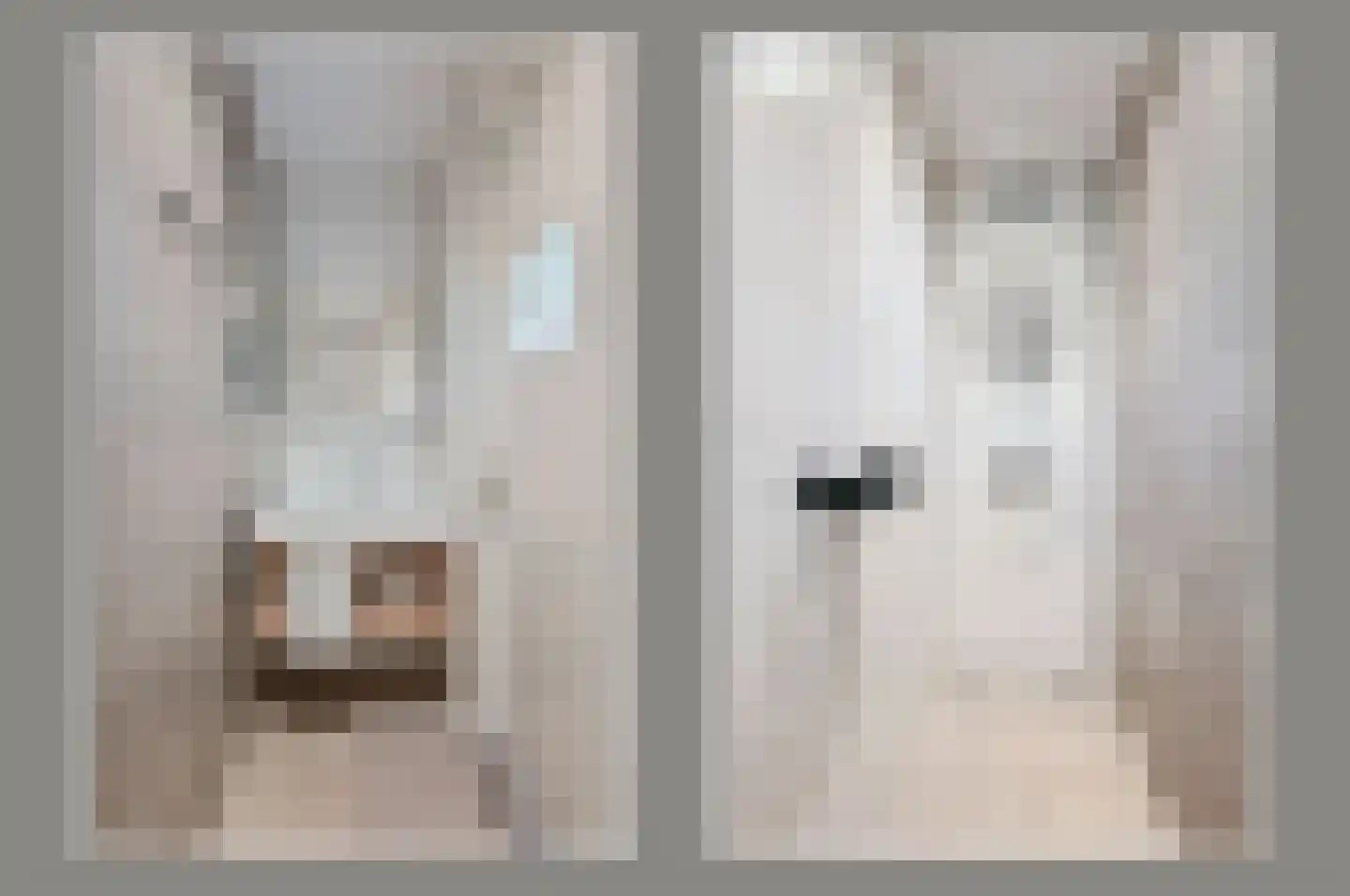 Valtherweg 36 287 Exloo thumbnail 12