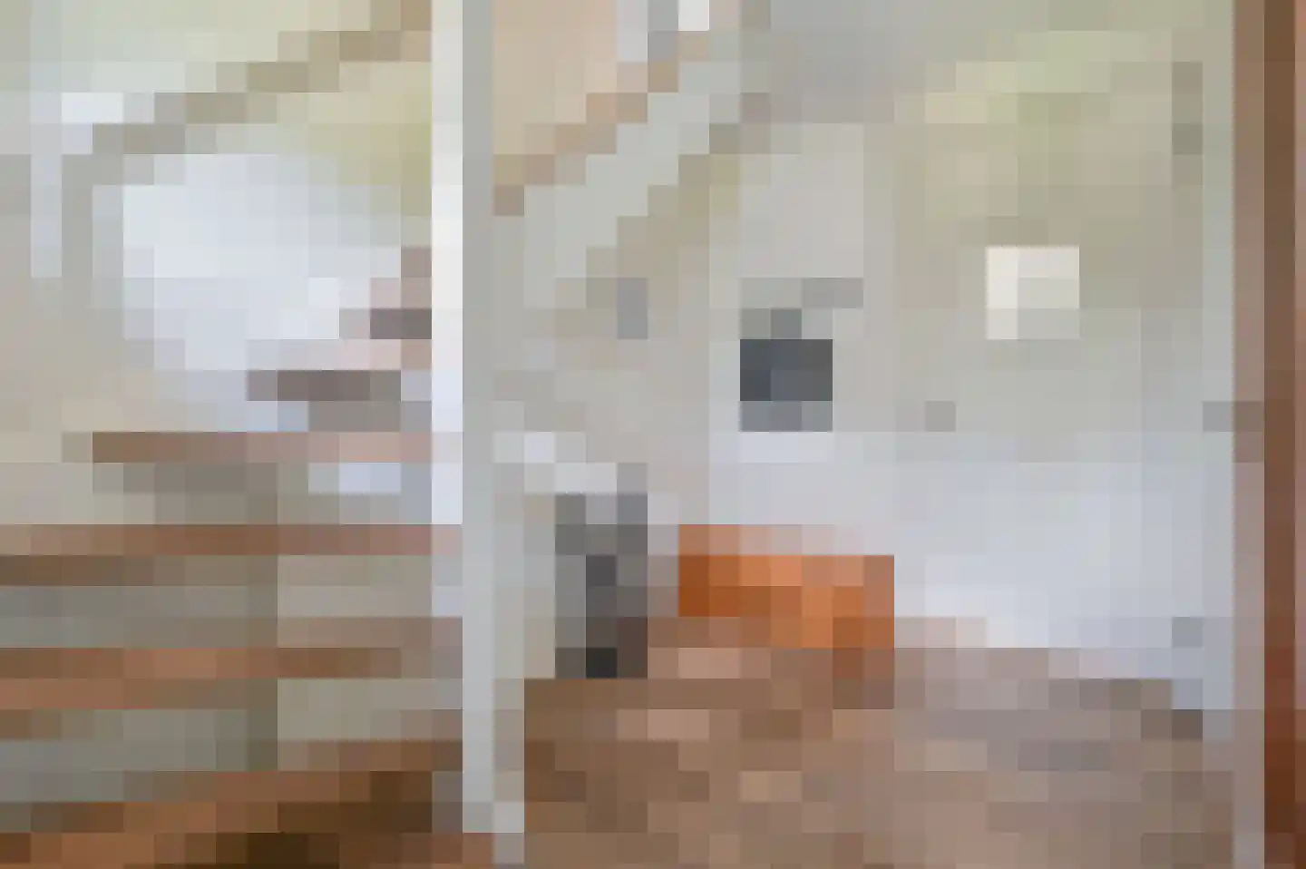 Valtherweg 36 287 Exloo thumbnail 13