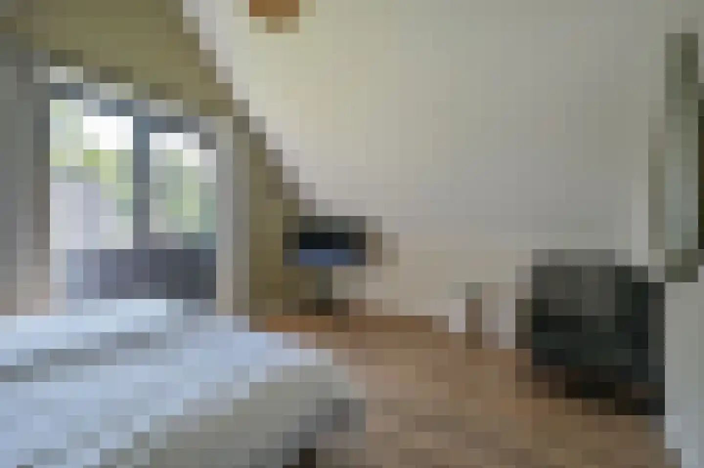 Valtherweg 36 287 Exloo thumbnail 16