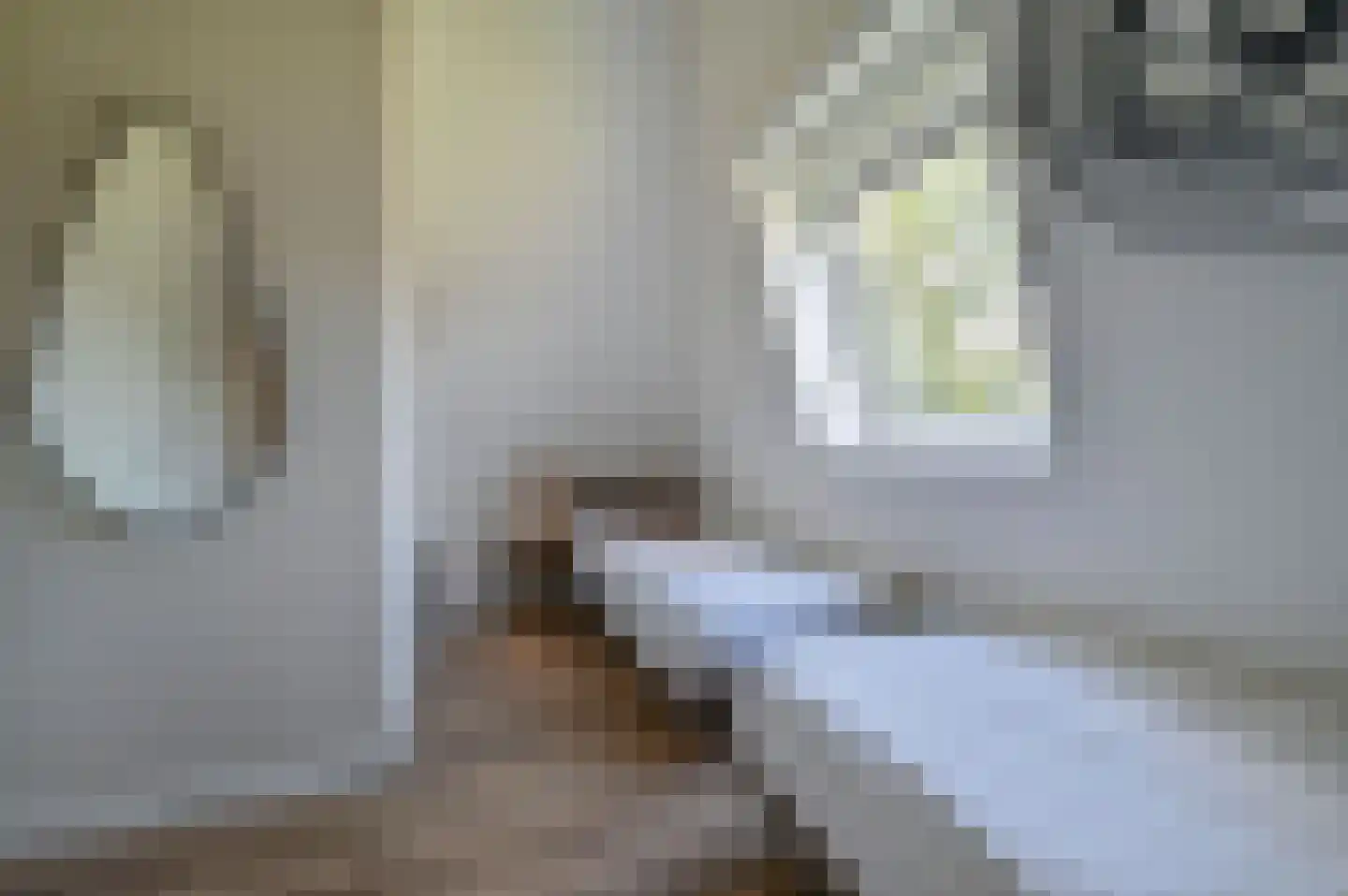Valtherweg 36 287 Exloo thumbnail 20