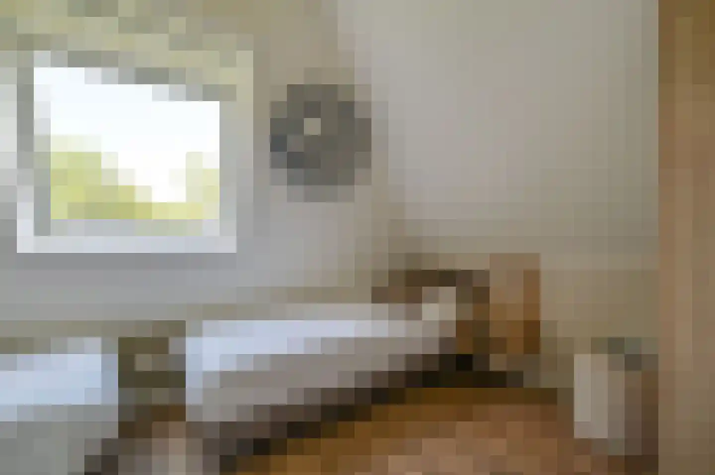 Valtherweg 36 287 Exloo thumbnail 21