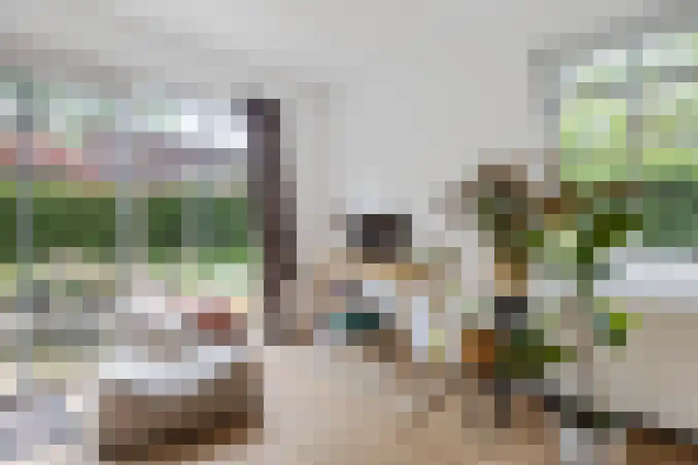 Valtherweg 36 304 Exloo thumbnail 20