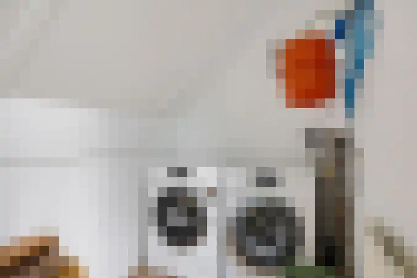 Valtherweg 36 304 Exloo thumbnail 22