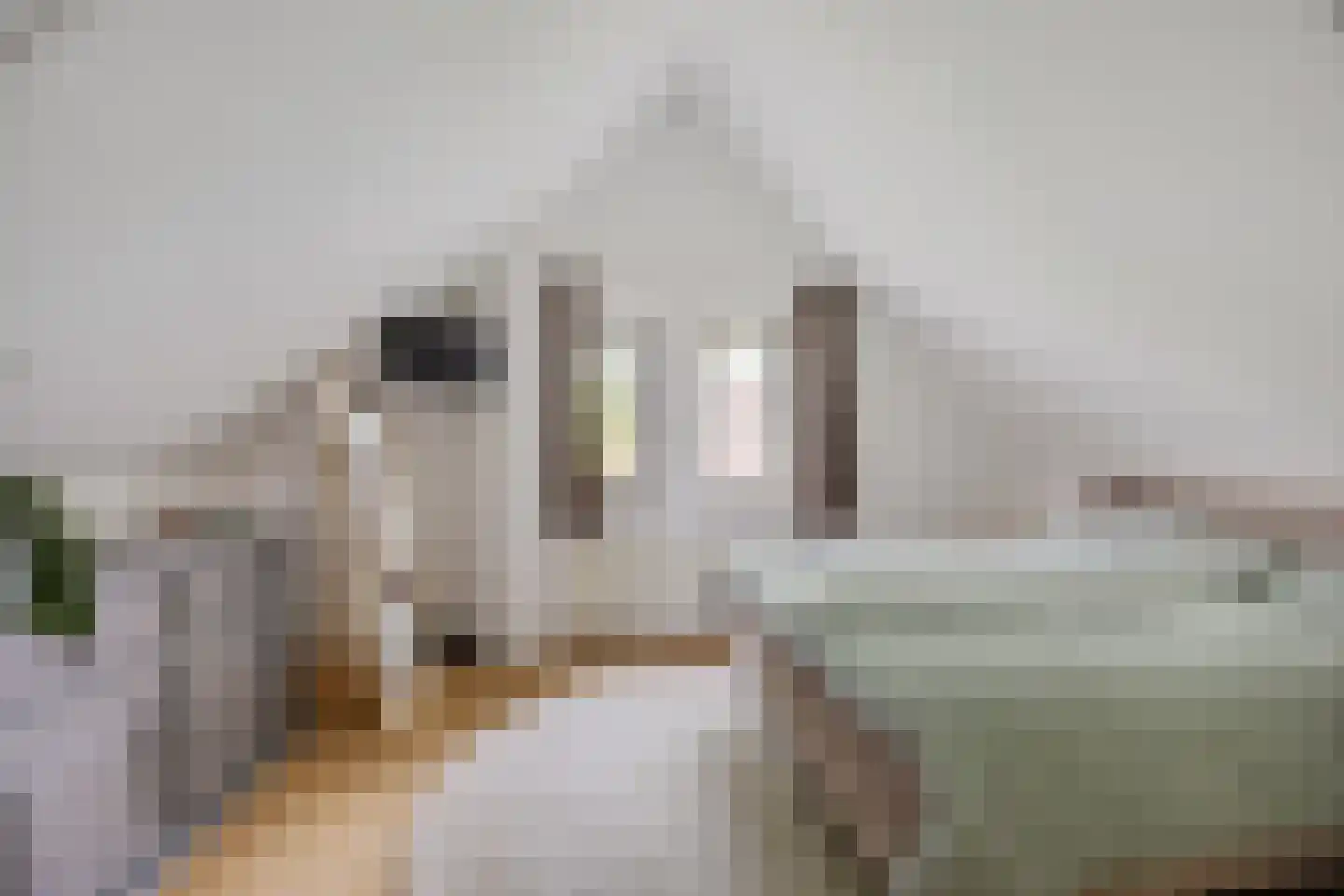 Valtherweg 36 304 Exloo thumbnail 25