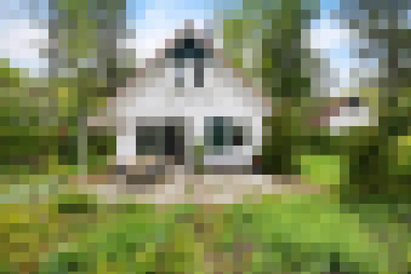Valtherweg 36 304 Exloo thumbnail 33