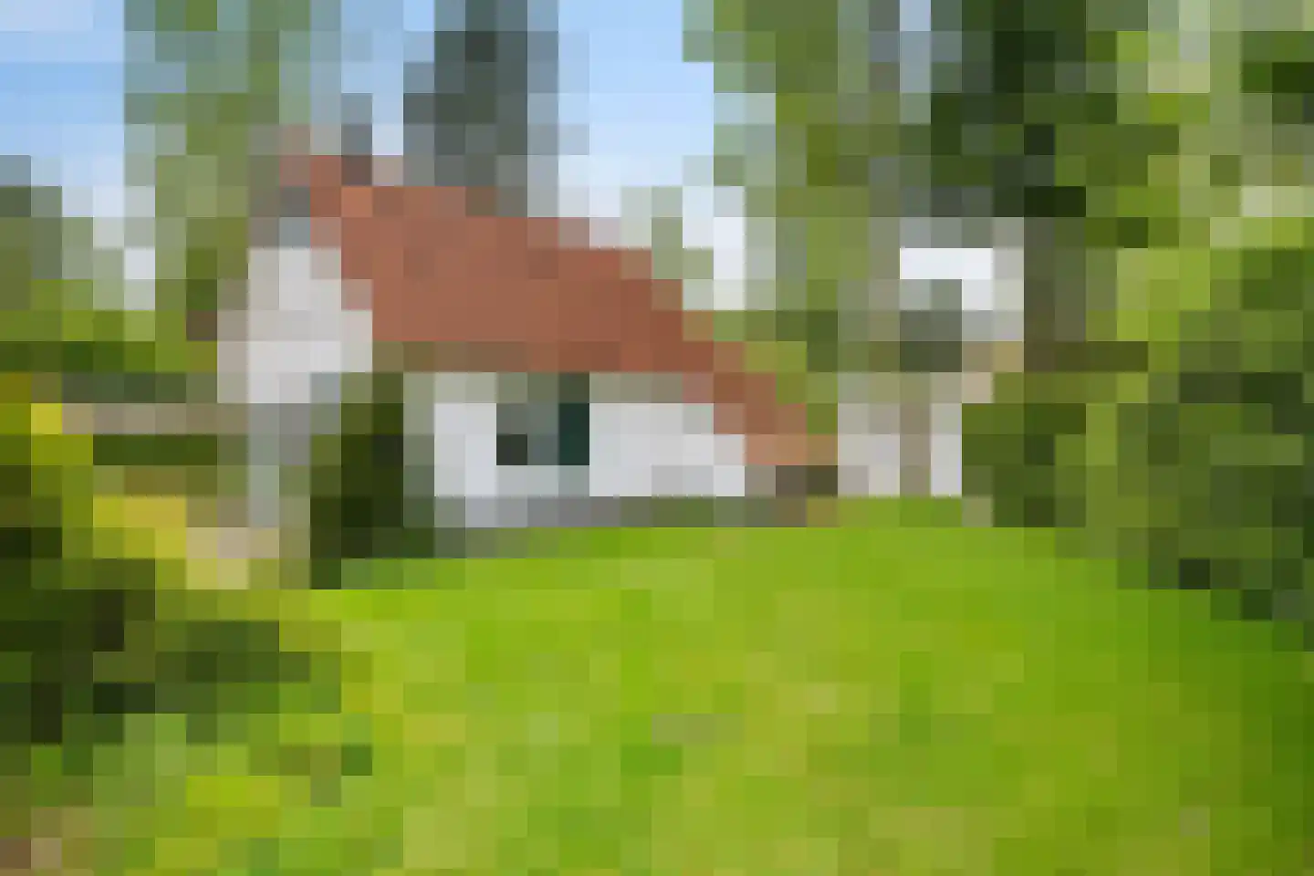 Valtherweg 36 304 Exloo thumbnail 36